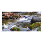 Mossy River Stones Photocard