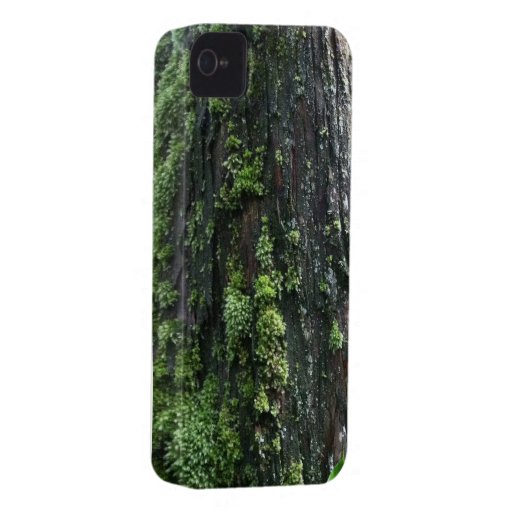 Mossy Trunk iPhone 4 Case-Mate Cases
