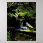 Mossy Waterfall Posters