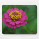 Most folks pink zinnia colourful mousepad gift ide