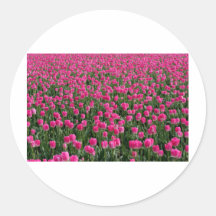 Mostly pink stickers
