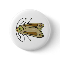 moth pins