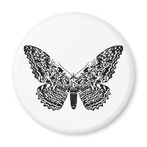 Moth Magnets