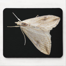 Moth Mousepad