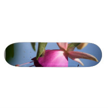 Moth On Fuchsia Flower Custom Skateboard
