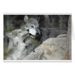 Mother and Baby Greeting Cards