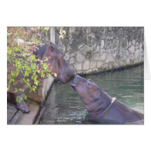 Mother and baby hippos note card
