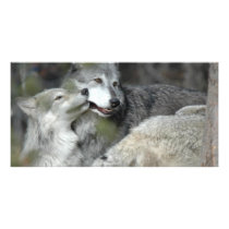 Mother and Baby Photo Greeting Card