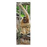 Mother and Child Gibbons Painting business cards