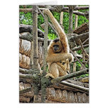 Mother and Child Gibbons Painting cards