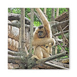Mother and Child Gibbons Painting magnets