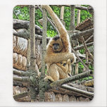 Mother and Child Gibbons Painting mousepads
