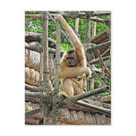 Mother and Child Gibbons Painting postcards