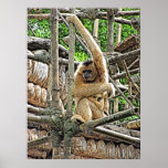 Mother and Child Gibbons Painting posters