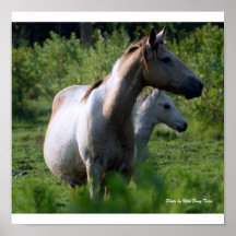Mother and Foal Poster