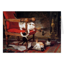 MOTHER CAT PLAYING WITH KITTENS
