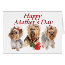 Mother  Day Yorkies Greeting Cards