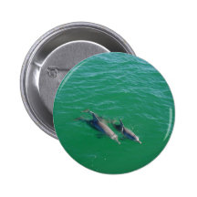 Mother Dolphin Swimming With Her Two Off-Springs Button