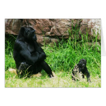 Mother Gorilla Watching Her 8 Month Old Baby Boy Cards