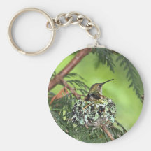 Mother Hummingbird on Nest Key Chain