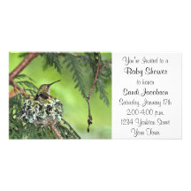 Mother Hummingbird on Nest Photo Card Template
