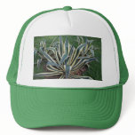Mother in Law tongue Tropical plant hat