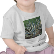 Mother in Law tongue Tropical plant Shirts