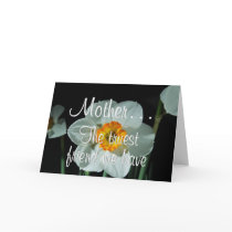 Mother is the Truest Friend We Have