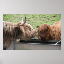 Mother Love Poster Print