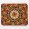 Mother Nature's Pallette mousepads