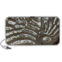 Mother of Pearl Doodle Speakers Cover speakers