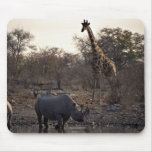 Mother rhino and young rhino at a watering place mousepad