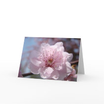 MOTHER’S DAY CARD 34 Greeting Cards Spring Blossom