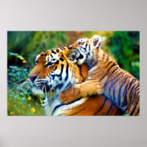 Mother Tiger with Baby Cub Climbing and Biting Ear
