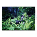 Mother Turkey in Ferns Card