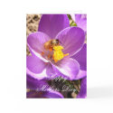 Mothers Day 30 ~ card