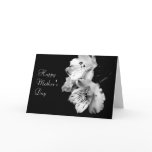 Mother's Day Black and White Lily Greeting Card