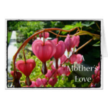 Mother's Day Bleeding Heart Card