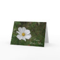 Mother's Day cards