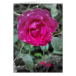 Mother's Day Card