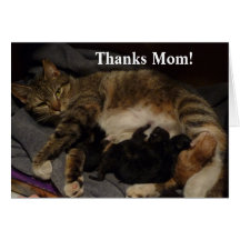 Mothers Day Card