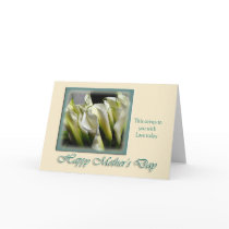 Mother's Day Card - Calla Lilies