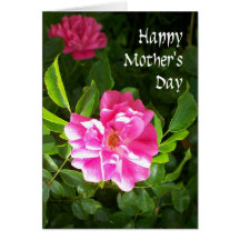 Mother's Day Card - Pink Roses