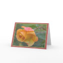 Mother's Day CARDS