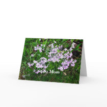 Mother's Day Flowers Cards