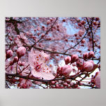 MOTHERS DAY GIFTS 10 Spring Blossoms Art Prints