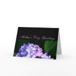 "Mother's Day Greetings" - Lavender Hydrangea [b] Cards