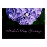 "Mother's Day Greetings" - Lavender Hydrangea [c] Card
