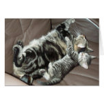 Mother's Day kitty card