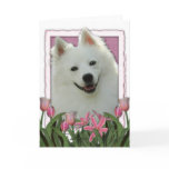 Mothers Day - Pink Tulips - American Eskimo